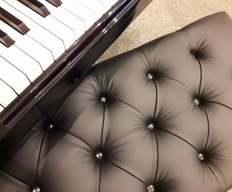 Double adjustable piano stool